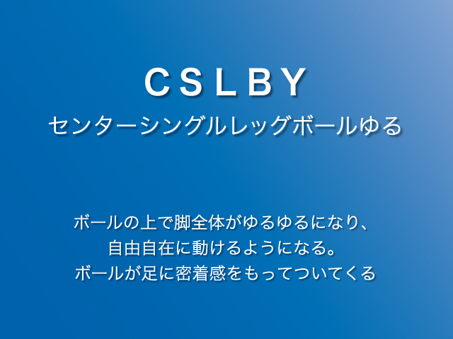 運動科学総合研究所 無料セミナー サッカーゆるトレーニング入門 のご案内