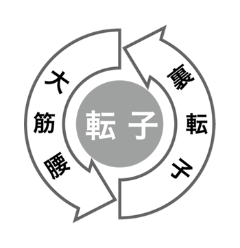 “転子サイクル”